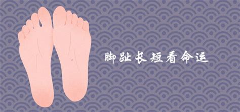 脚趾风水|5个脚趾长短看命运图，男女看法不一样